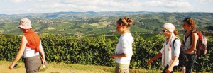 Turismo estivo nelle Langhe e nel Roero: buoni segnali