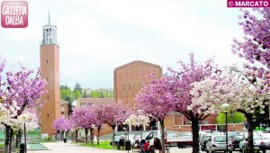 chiesa cristo re alba