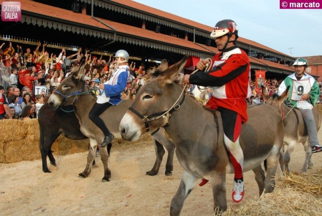 alba palio asini 2012