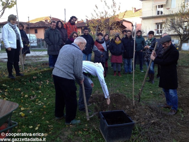 alberi-ricordo-giorgio-cavallo-novembre2013b