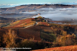 unesco-langhe-colline-panorama-vigneti