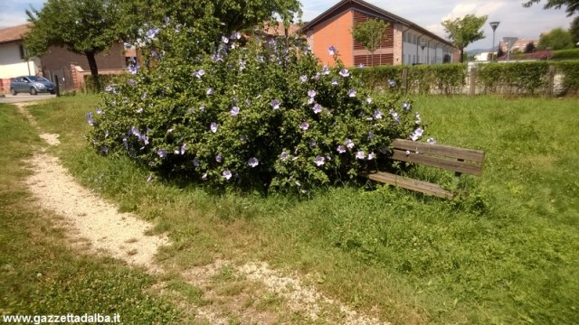 degrado-parco-san-cassiano-alba-luglio2014 (1)