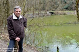 Scarsi e laghetto  oasi san Nicolao 3