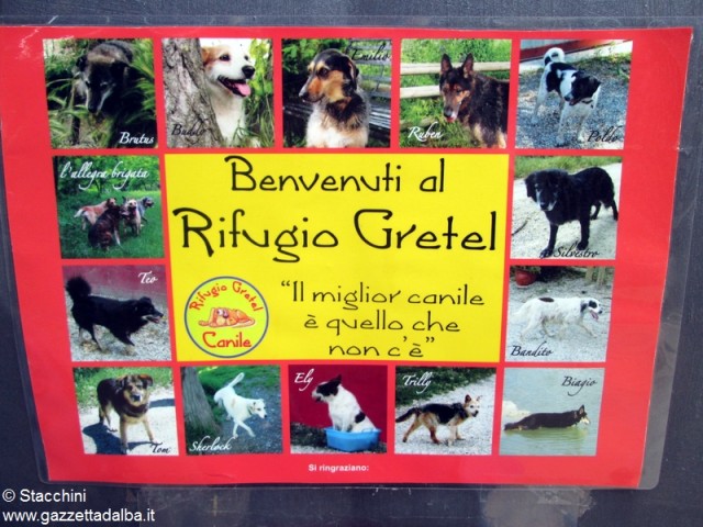 Festa canile Gretel (16)