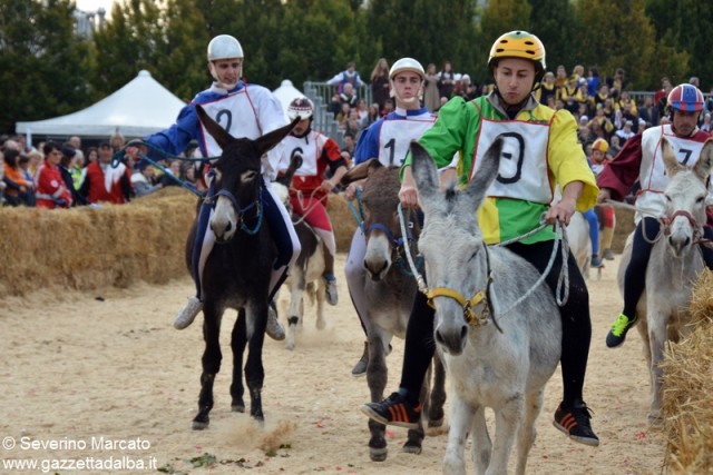 alba palio 2015-005