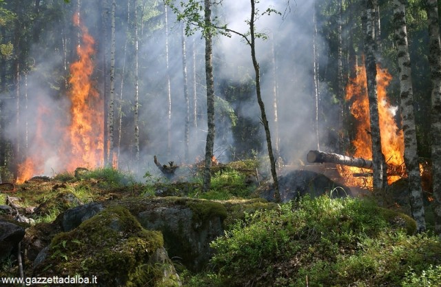 incendio bosco