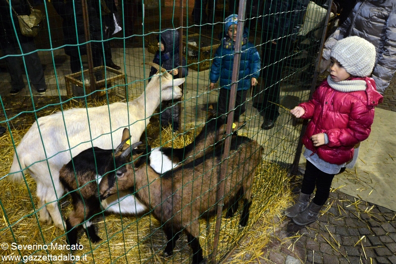 San Damiano: mercatino di animali al baluardo Palestro