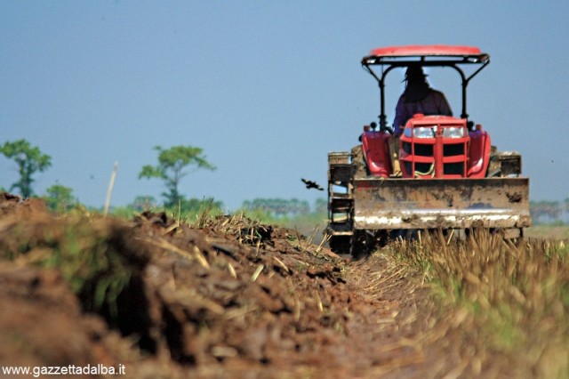 trattore campo agricoltura