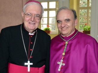 Il primo "Tweet del Vescovo" in vista di domenica 30 ottobre