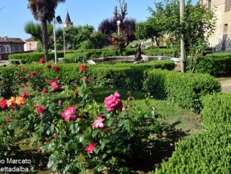 Nel parco del castello rose regali e fragole 1