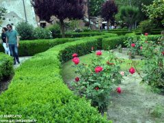 Il parco del castello di Govone si apre agli amanti delle rose 25