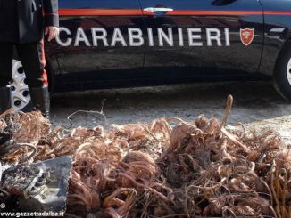 I Carabinieri di Cuneo sequestrano 100 chili di rame