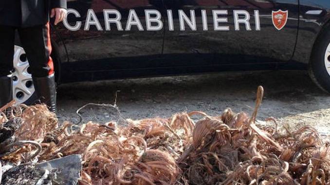 I Carabinieri di Cuneo sequestrano 100 chili di rame