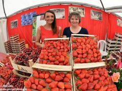 Passeggiate, concerti e pranzi al sapor di fragola 2