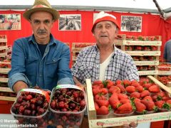 Passeggiate, concerti e pranzi al sapor di fragola 3