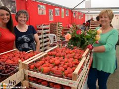 Passeggiate, concerti e pranzi al sapor di fragola 5