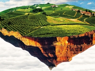 Collisioni 2016 sulle note di David Bowie