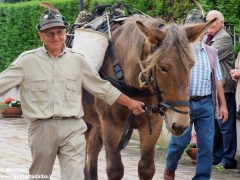 Ceresole imbandierata ha reso omaggio alle penne nere 11