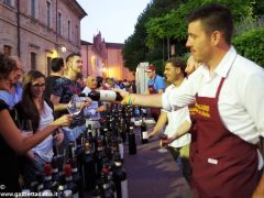 Oltre 800 persone a Magliano sotto le stelle 9