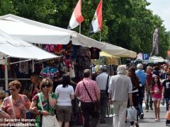 Il Mercato europeo ad Alba è stato un successo 12