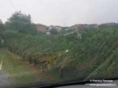 Le foto dei nostri lettori: grandine, folate di vento e arcobaleno 2