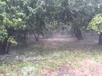 Bomba d’acqua  su Cortemilia