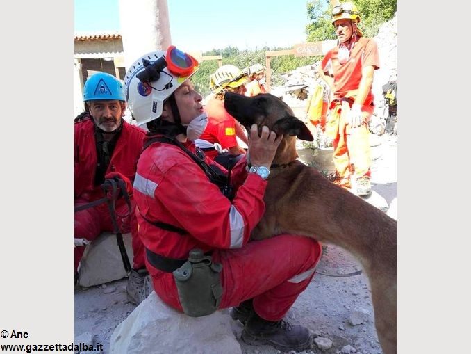 Sisma centro Italia: partiti da Alba i cani da ricerca dell’Anc 3