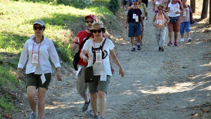 Le più belle immagini della Mangialonga 2016 3