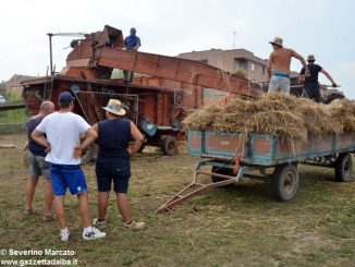 C’era una volta la trebbiatura a Mussotto 4