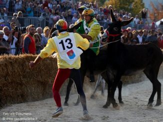 contestazioni-palio-2016-2