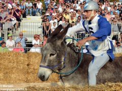 Patin e tesor vince il Palio numero nove, ma Moretta protesta 13