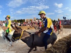 Patin e tesor vince il Palio numero nove, ma Moretta protesta 14