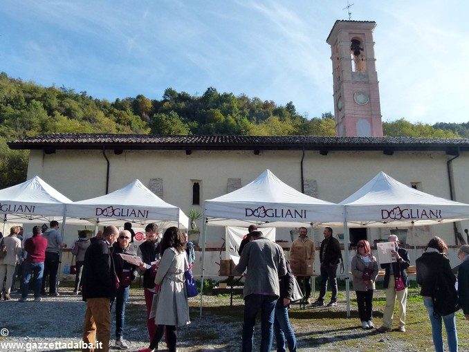 Sulle strade del Dogliani con Slow Food 3