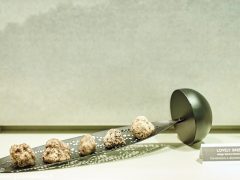 Successo per Poetica e il suo intreccio di arti. Ecco le foto più belle 7