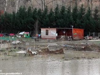 La storia: campo cinofilo, sogno da ricostruire