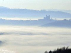 Dolce nebbia. Ecco le foto più belle degli orizzonti di Langa 3