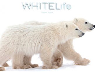 Cinque anni in viaggio tra ghiaccio e neve