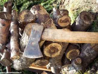 Alberi e arbusti lungo la linea ferroviaria vanno tagliati