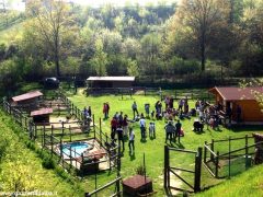 Agrifesta di primavera in fattoria e mercatino del baratto con Asini si nasce 1