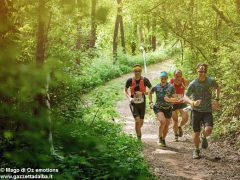 Al Trail delle rocche podisti scatenati su colline e fondovalle 16