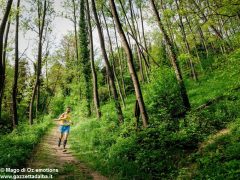 Al Trail delle rocche podisti scatenati su colline e fondovalle 17