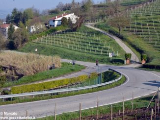 Studenti da 4 Nazioni alla scoperta delle colline albesi 35