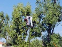 Al Sobrino, sabato 27, Parkeggiamo ha fatto divertire centinaia di bambini 2