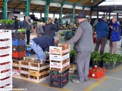 Il Mercato ortofrutticolo di Canale cambierà assetto diventando una società 3