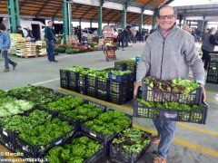 Il Mercato ortofrutticolo di Canale cambierà assetto diventando una società 2