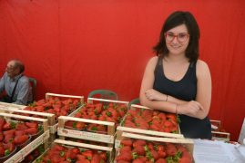 Sagra della fragola. Le foto del primo fine settimana e i prossimi appuntamenti 9