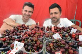 Sagra della fragola. Le foto del primo fine settimana e i prossimi appuntamenti 1