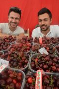 Sagra della fragola. Le foto del primo fine settimana e i prossimi appuntamenti 2