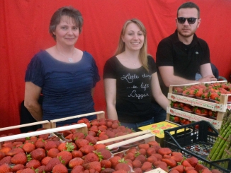 Sagra della fragola. Le foto del primo fine settimana e i prossimi appuntamenti 6