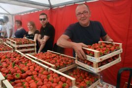 Sagra della fragola. Le foto del primo fine settimana e i prossimi appuntamenti 7